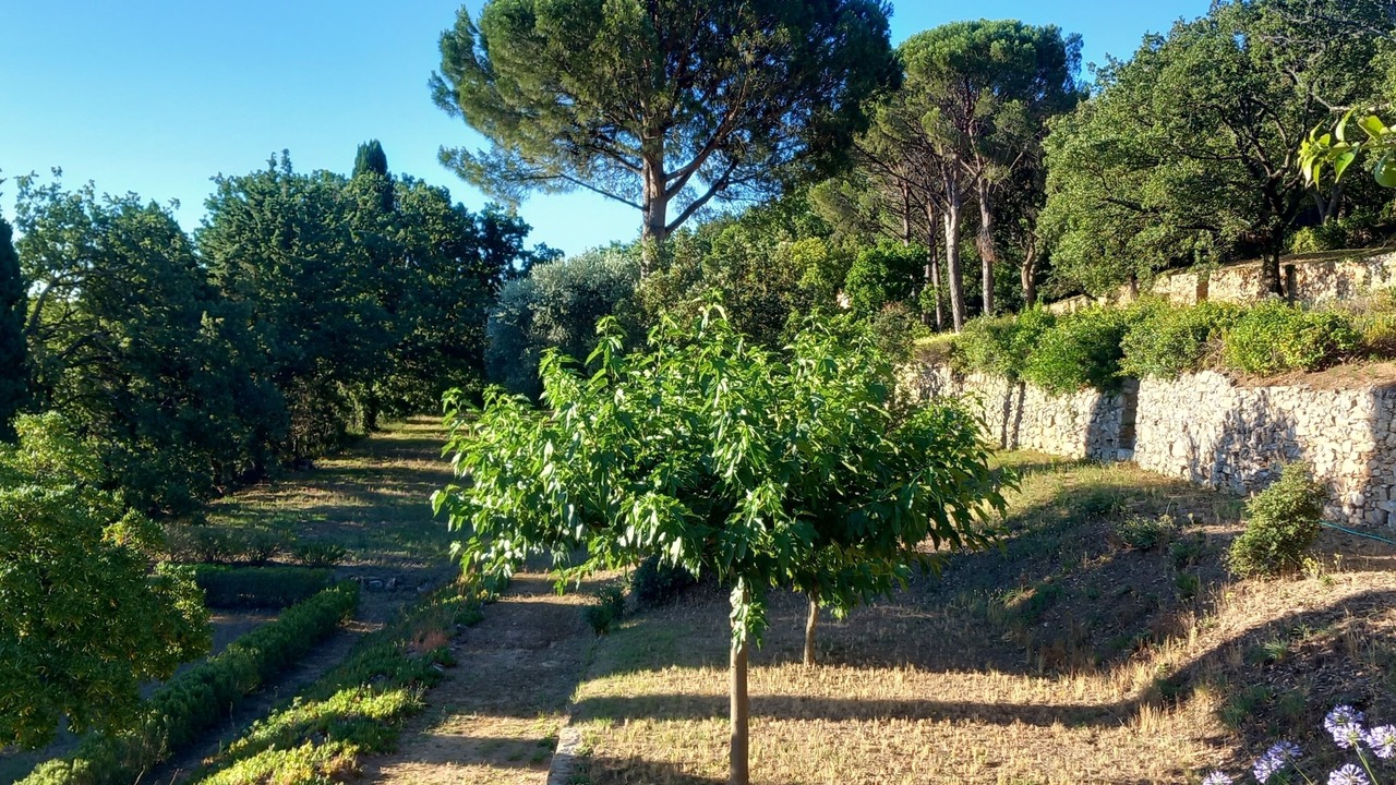Photo of Outdoor in Saint-Tropez