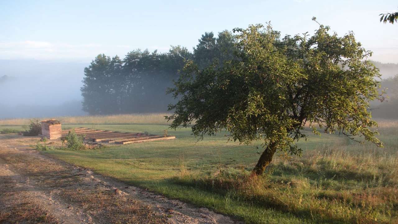 Photo of Outdoor in Saint-Amand-de-Coly