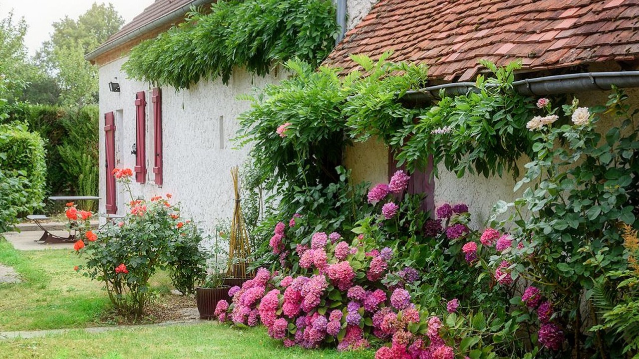 Photo of Outdoor in Franchesse