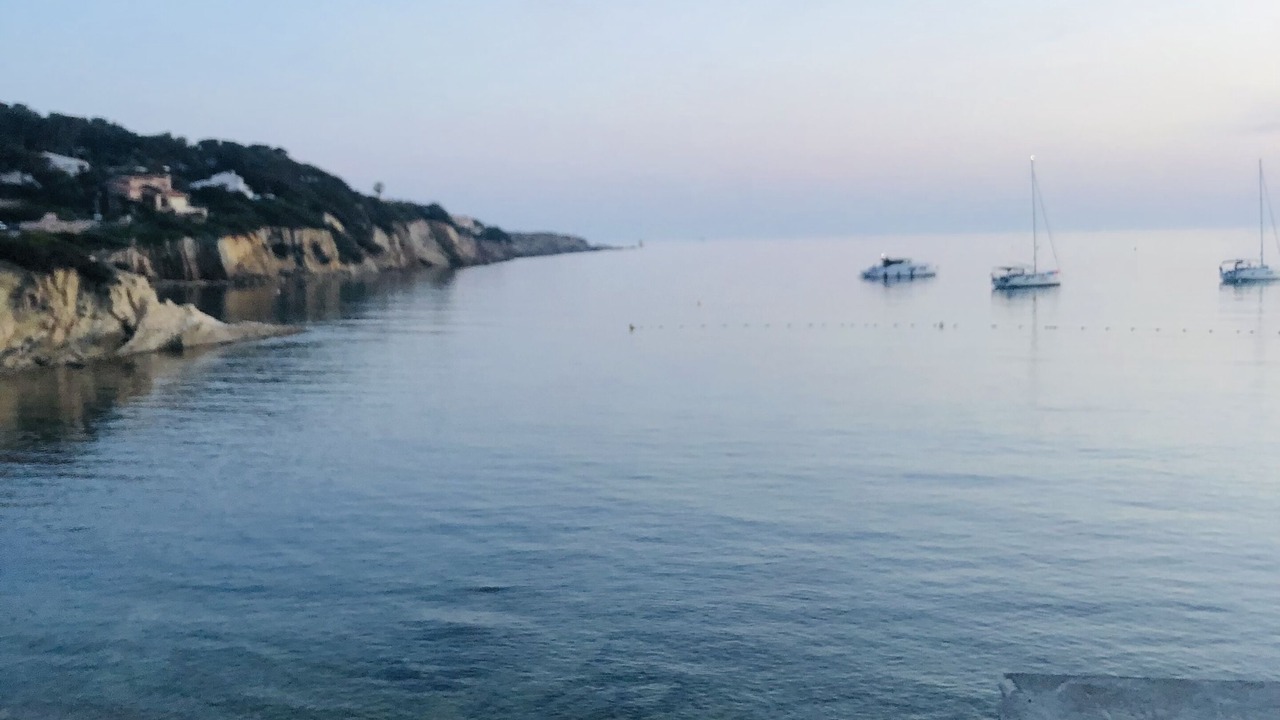 Photo of Others in Sanary-sur-Mer