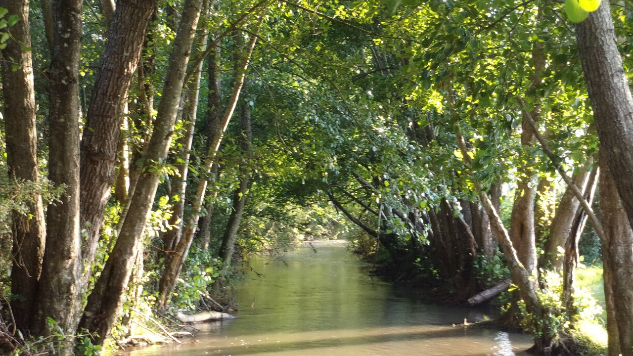 Photo of Outdoor in Dompierre-sur-Nievre
