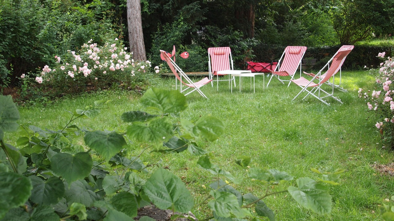 Photo of Outdoor in Dompierre-sur-Nievre