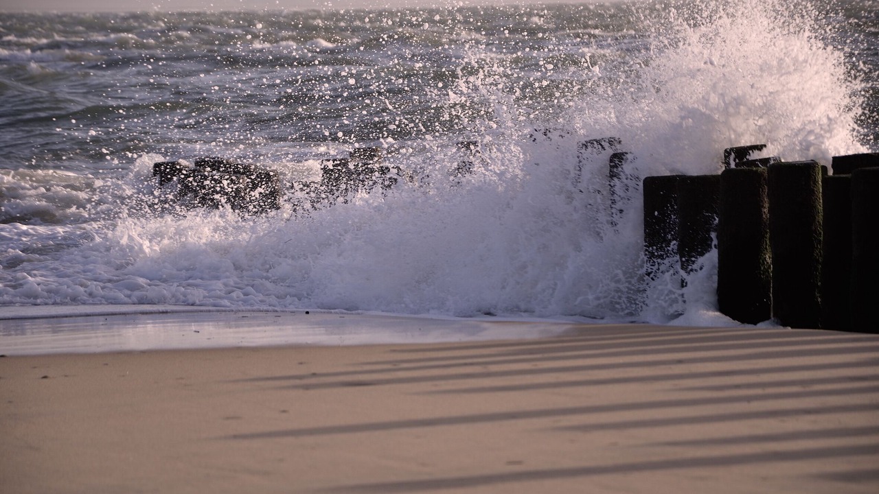 Photo of Others in Cap-Ferret
