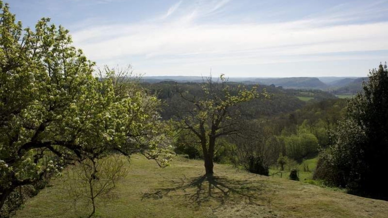 Photo of Outdoor in Beynac-et-Cazenac