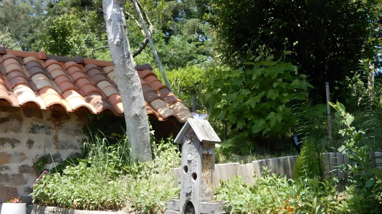 Photo of Outdoor in Fourneaux
