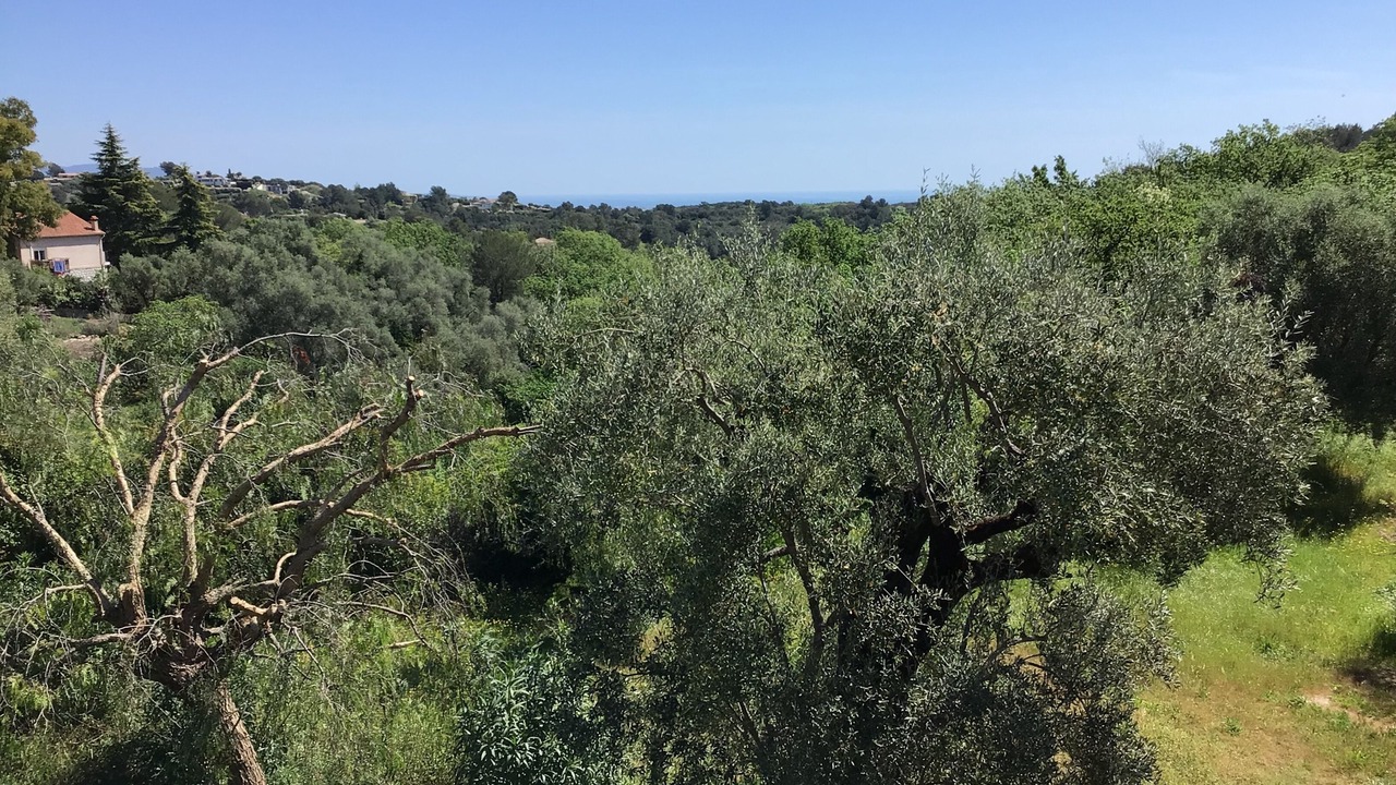 Photo of Others in Les Maillans