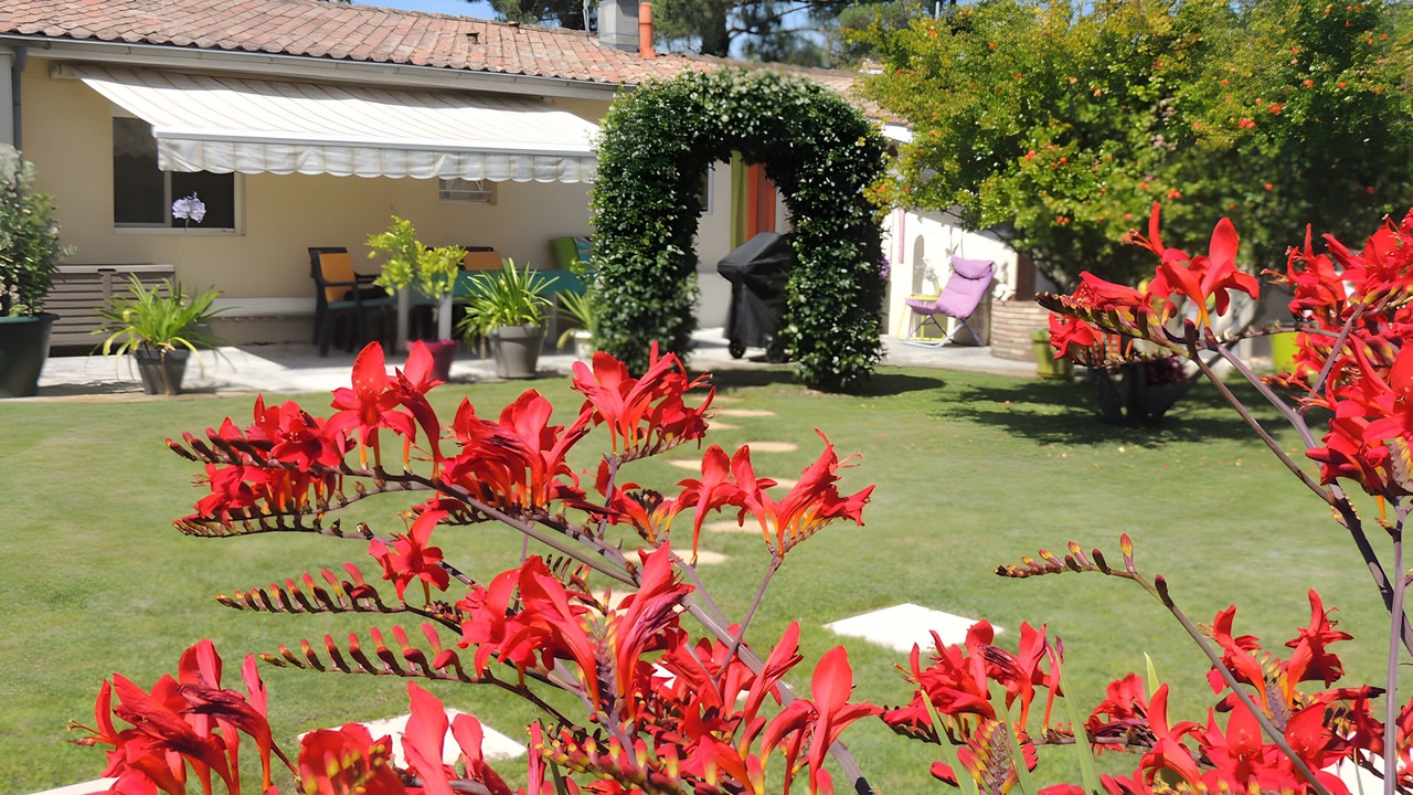 Photo of Outdoor in Gujan-Mestras