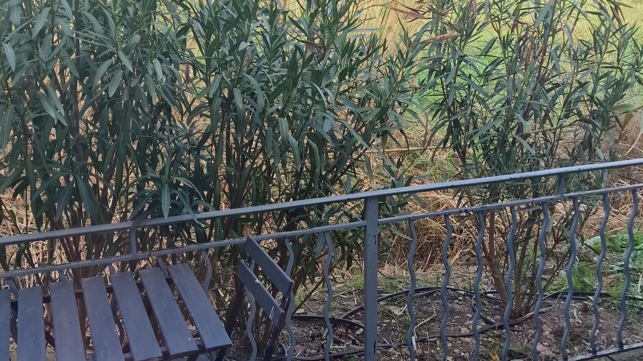 Photo of Outdoor in Mouries