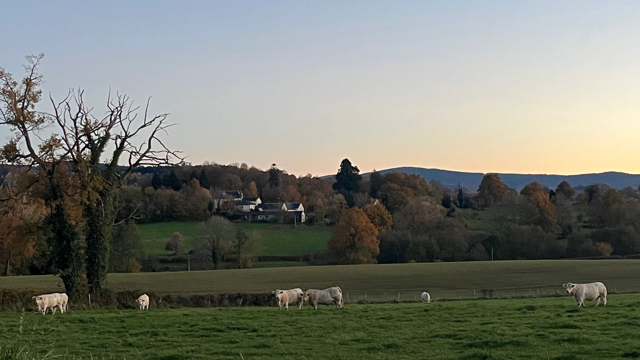 Photo of Others in Le Mayet-de-Montagne