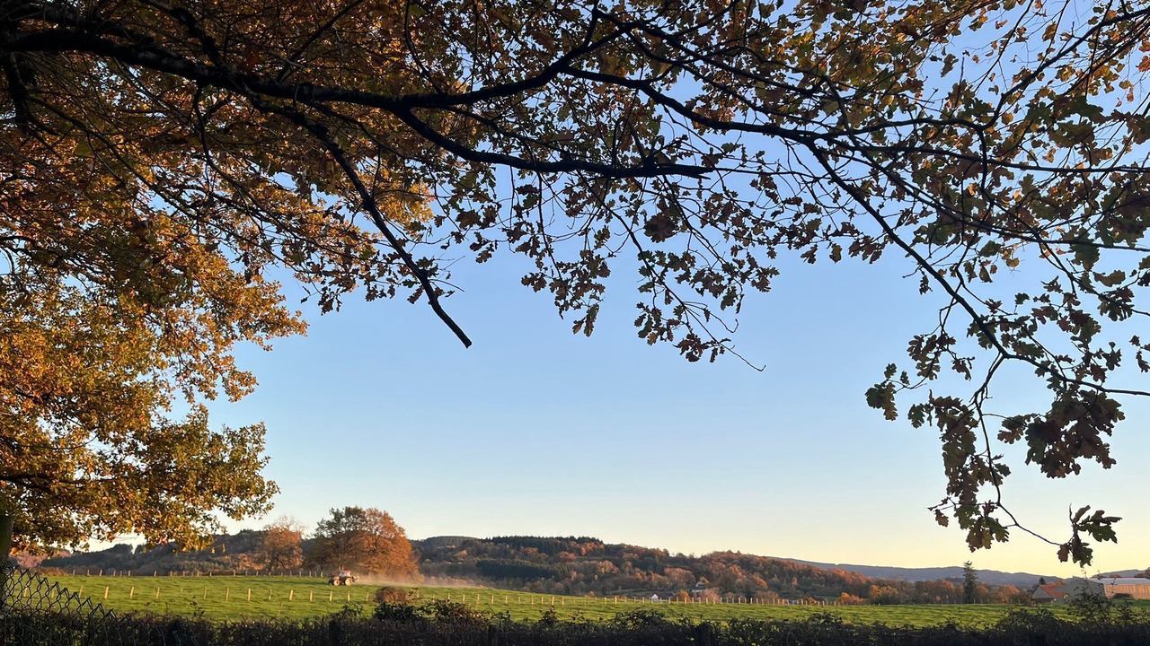 Photo of Others in Le Mayet-de-Montagne
