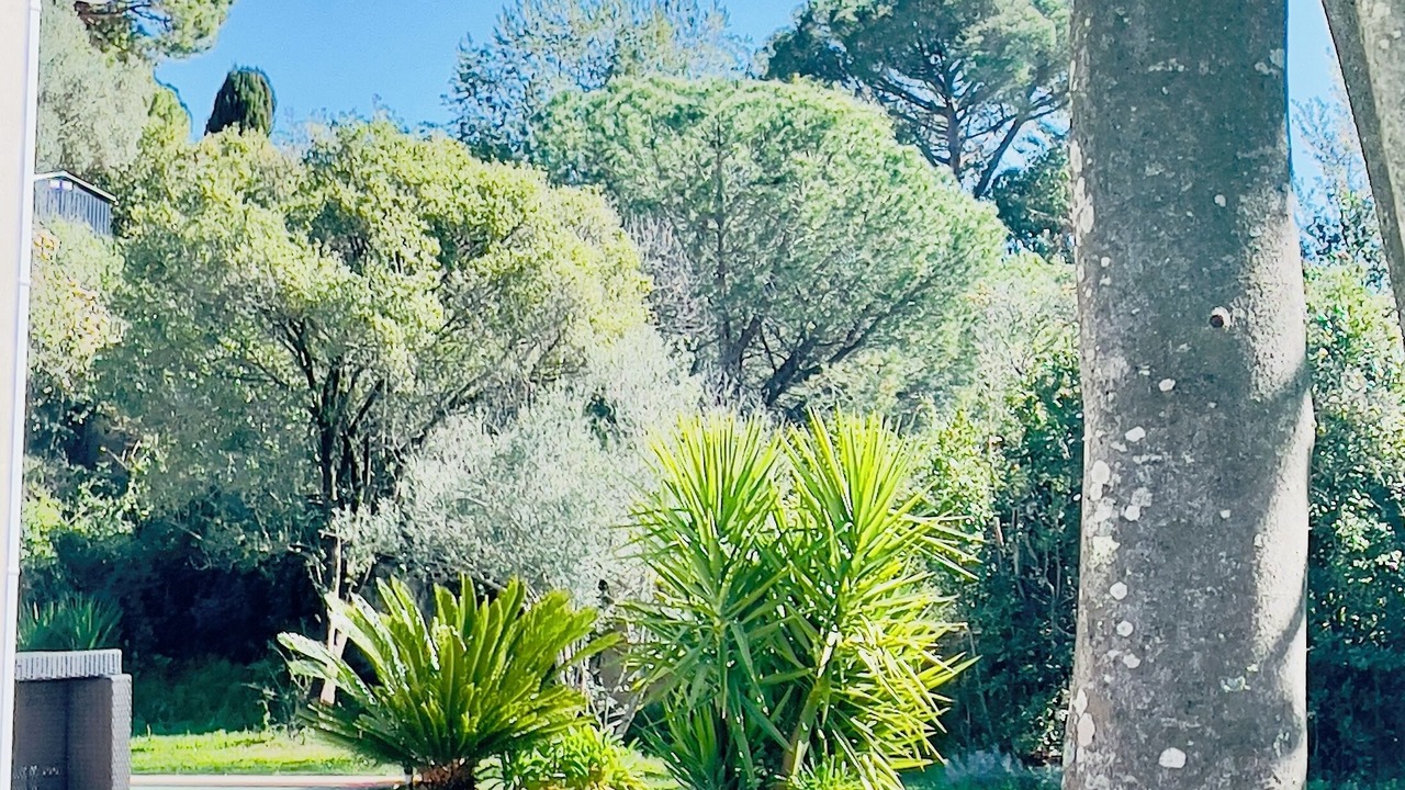 Photo of Outdoor in Saint-Jacques