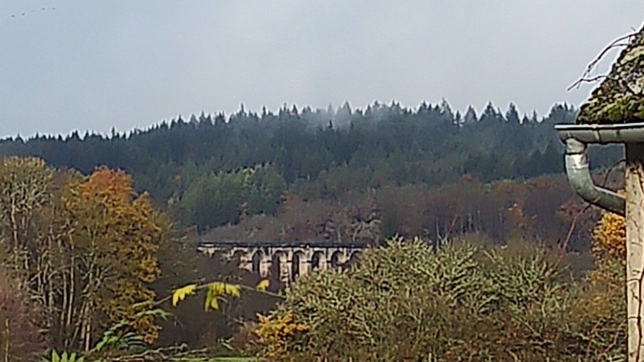 Photo of Others in Montreuillon