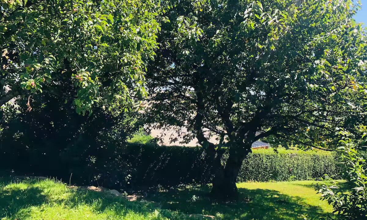 Photo of Outdoor in Saint-Prix