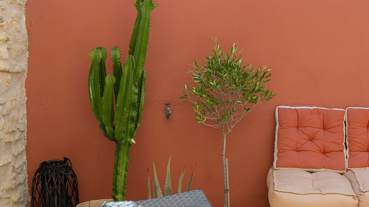 Photo of Patio Balcony in Cabrieres-d'Avignon