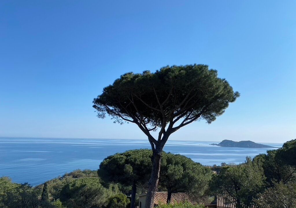Photo of Others in Ramatuelle