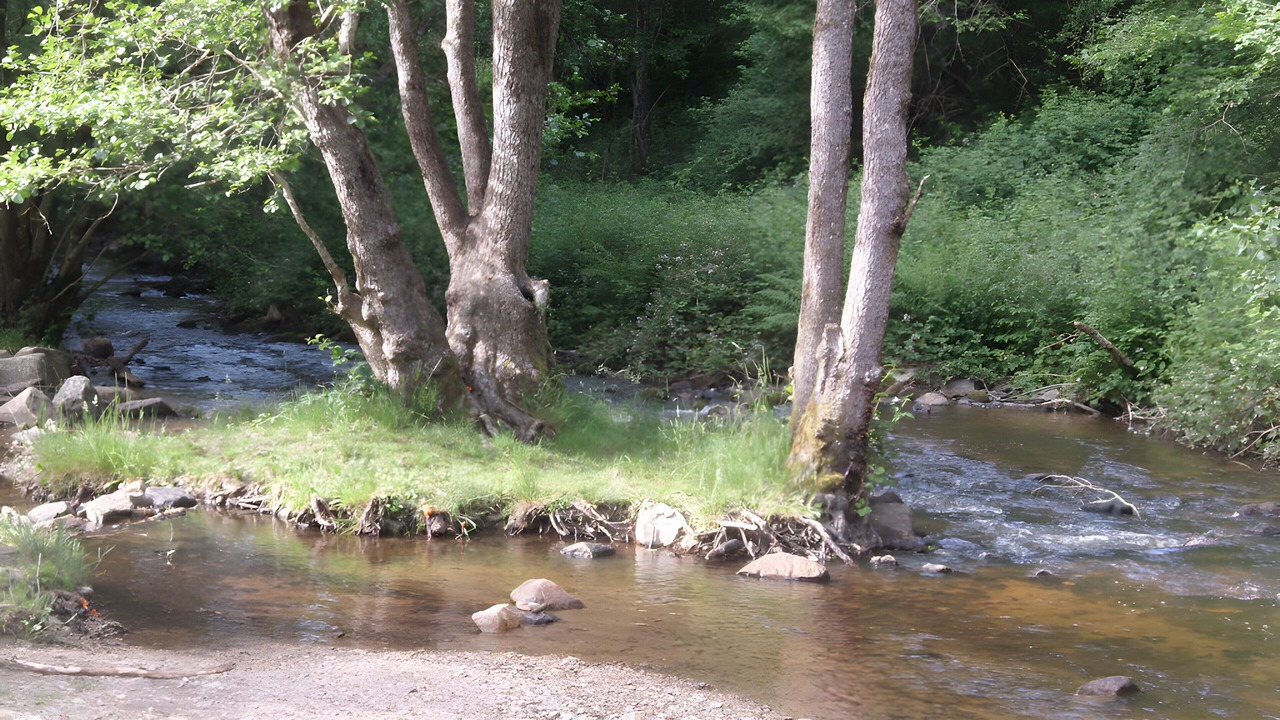 Photo of Others in Montsauche-les-Settons