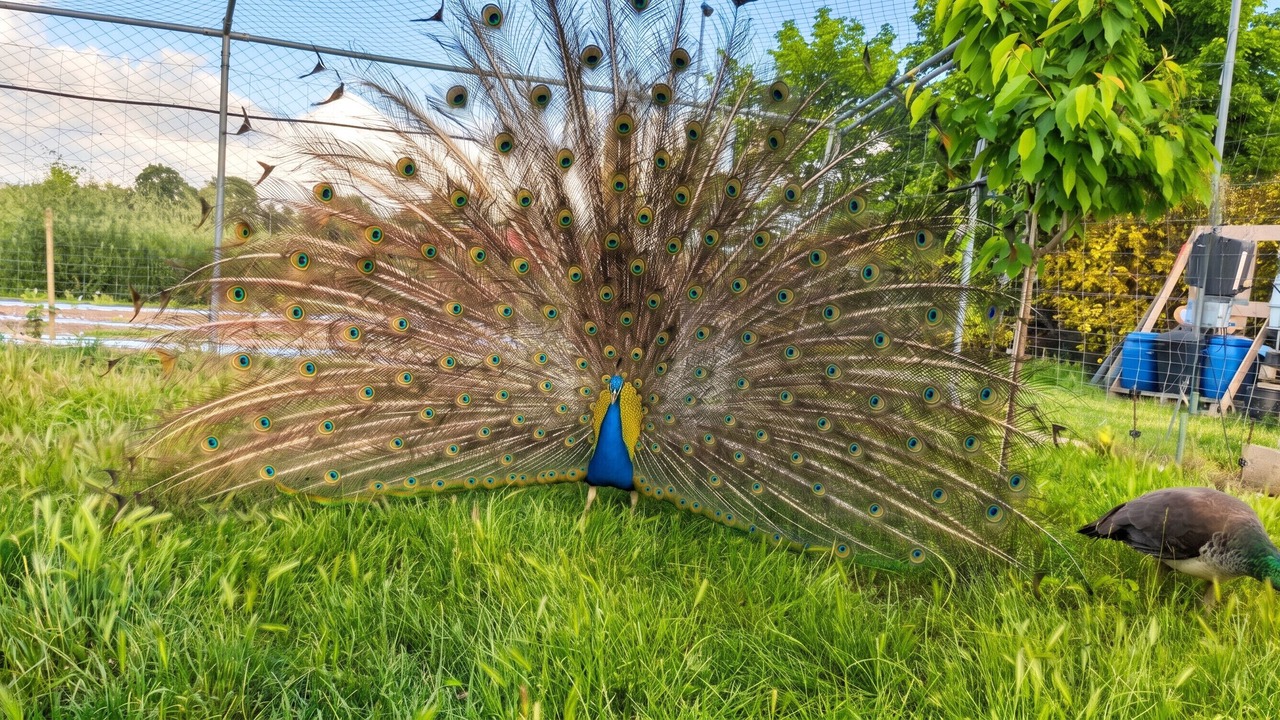 Photo of Outdoor in Cabrieres-d'Avignon