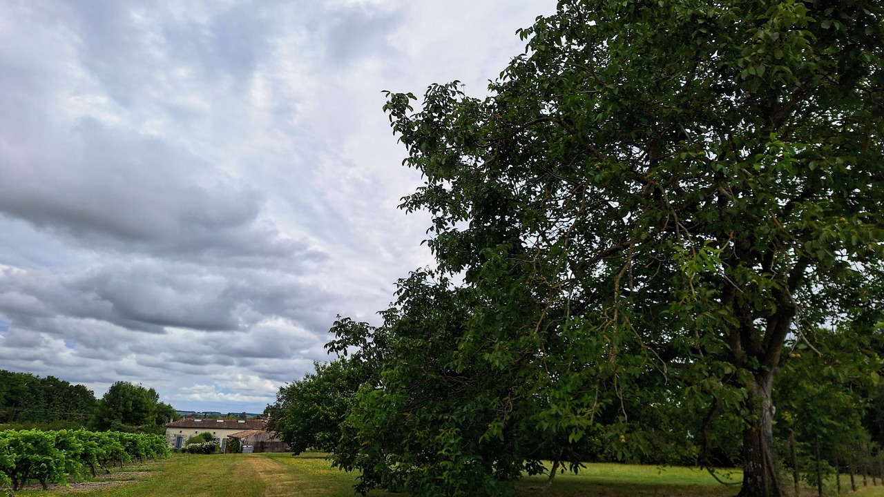 Photo of Outdoor in Saint-Germain-de-Vibrac