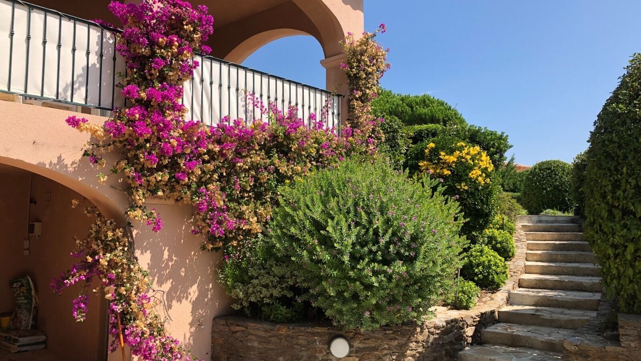 Photo of Outdoor in La Nartelle