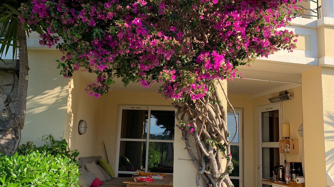 Photo of Patio Balcony in Cap Esterel