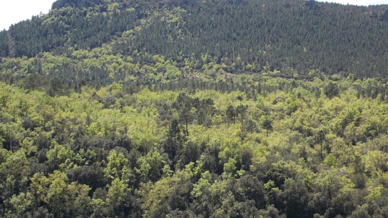 Photo of Others in Bagnols-en-Foret