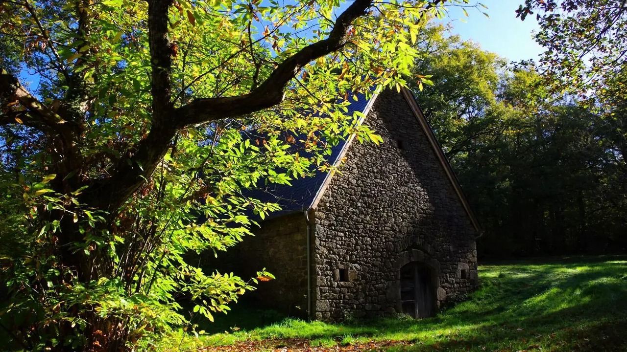 Photo of Outdoor in Saint-Cirgues-la-Loutre