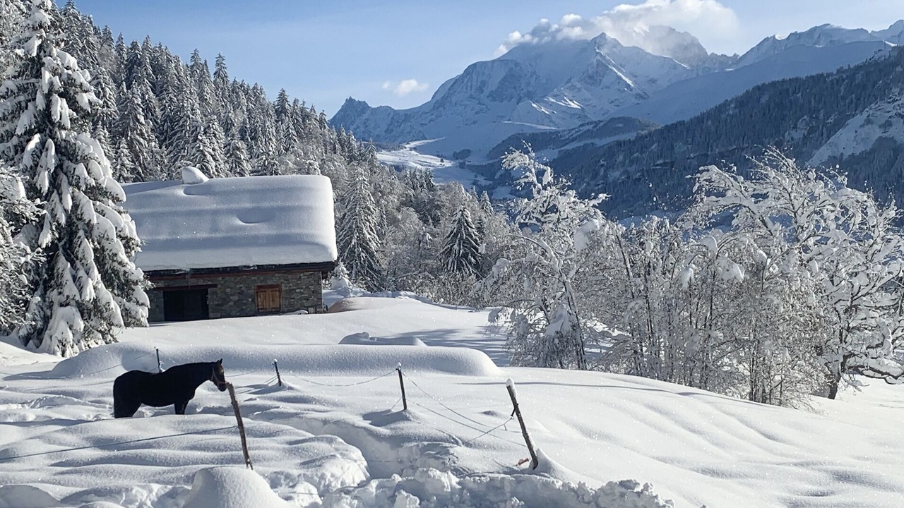 Photo of Outdoor in Praz-sur-Arly