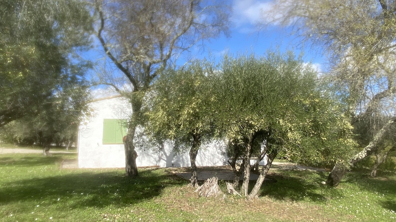 Photo of Outdoor in Lorgues