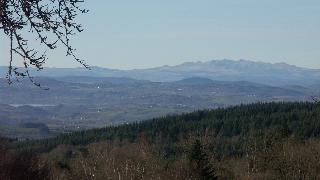 Photo of Others in Augerolles
