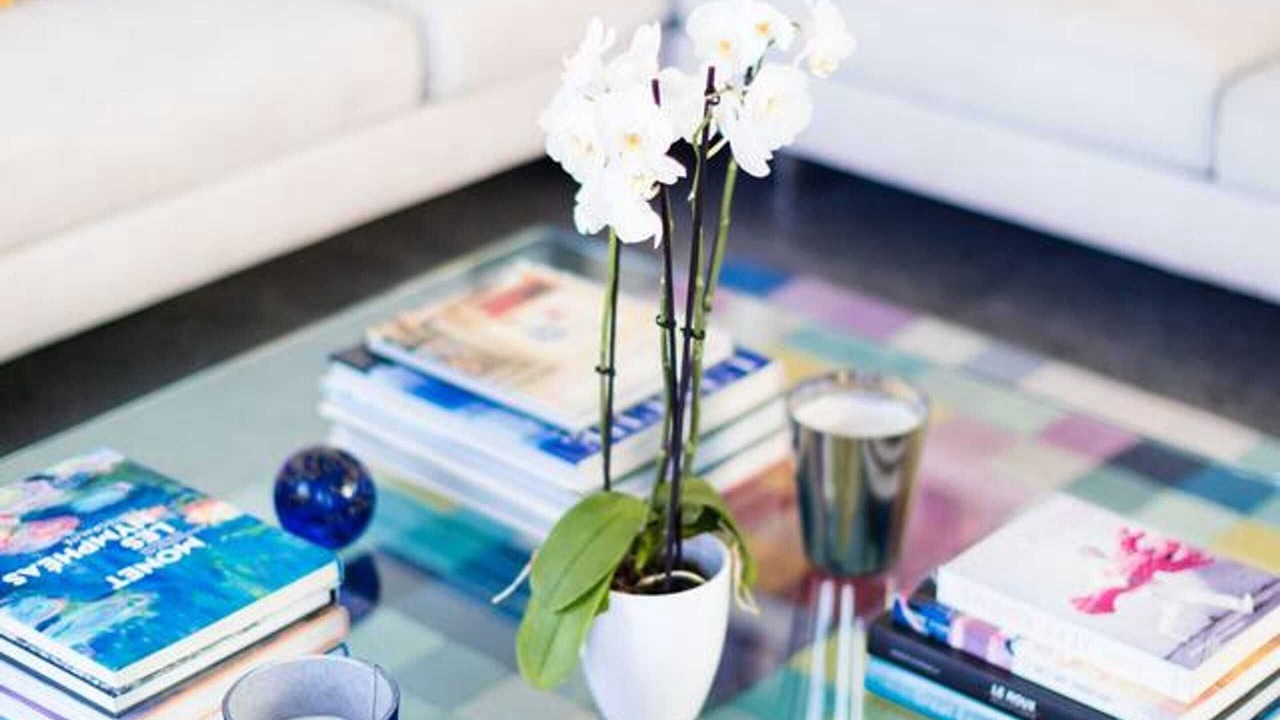 Photo of Livingroom in Le Rouet