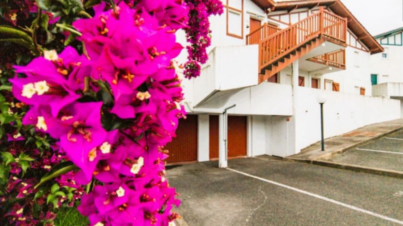 Photo of Outdoor in Hendaye