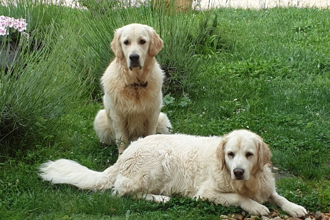 Photo of Outdoor in Bassillac and Auberoche