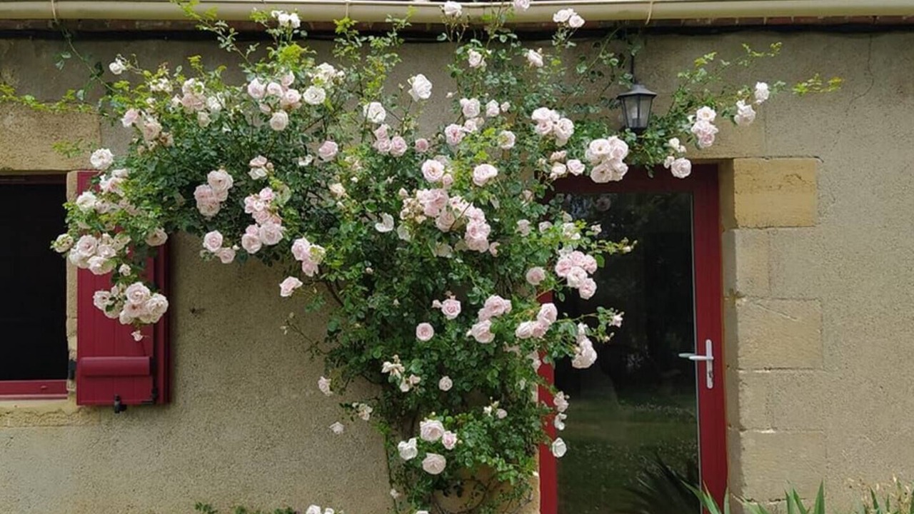 Photo of Outdoor in Agonges