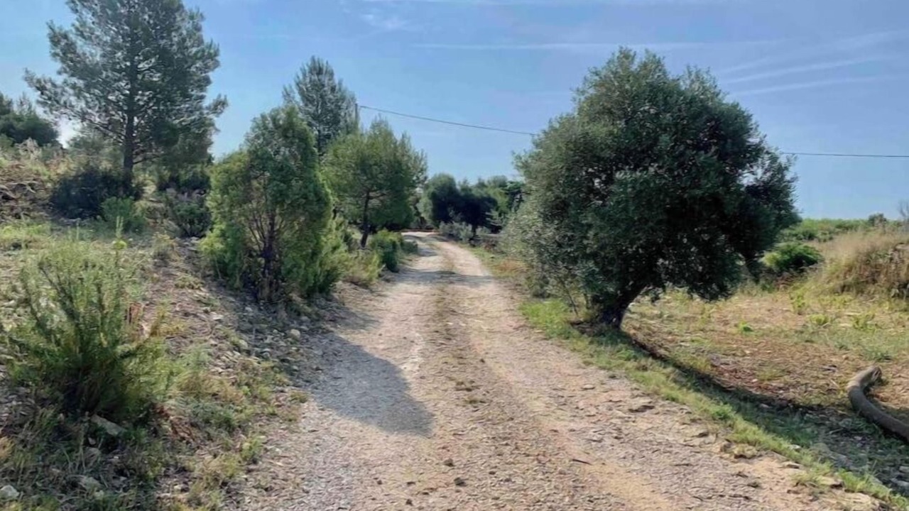 Photo of Others in Le Castellet
