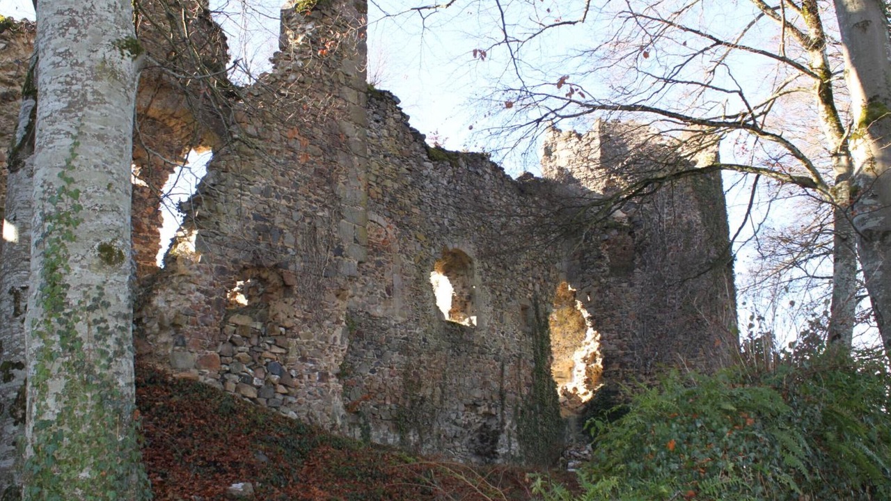 Photo of Others in Ferrieres-sur-Sichon