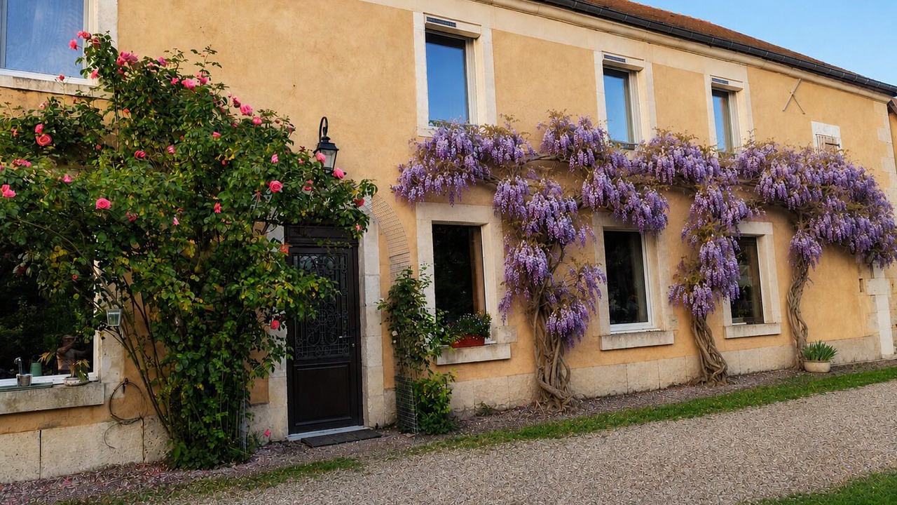 Photo of Outdoor in Sainte-Colombe-sur-Loing