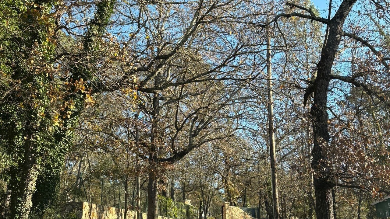 Photo of Others in Saint-Paul-en-Foret