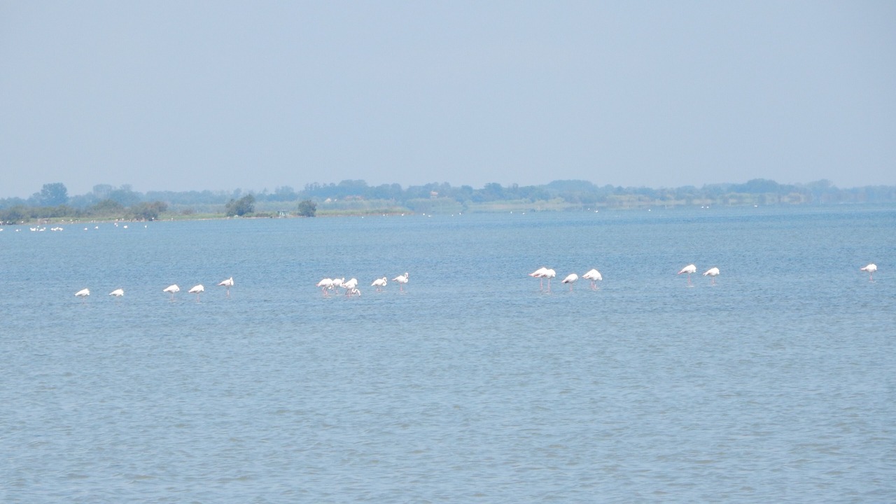 Photo of Others in Mouries