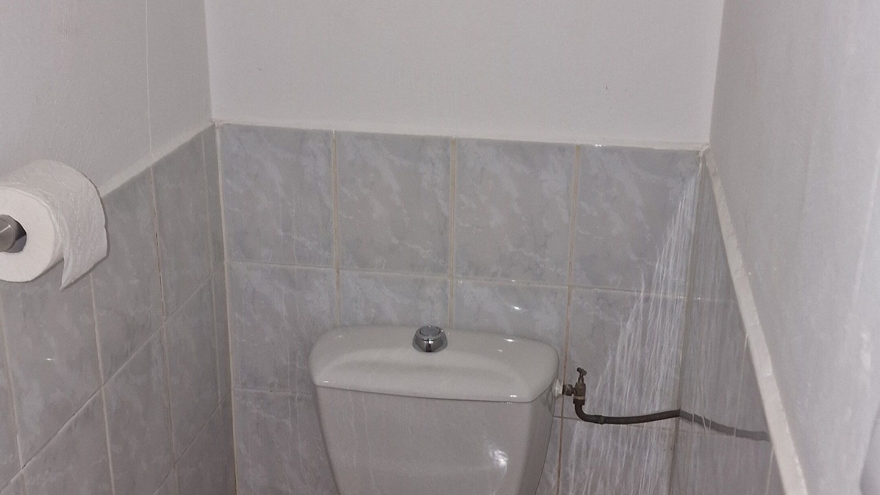 Photo of Bathroom in Mouries