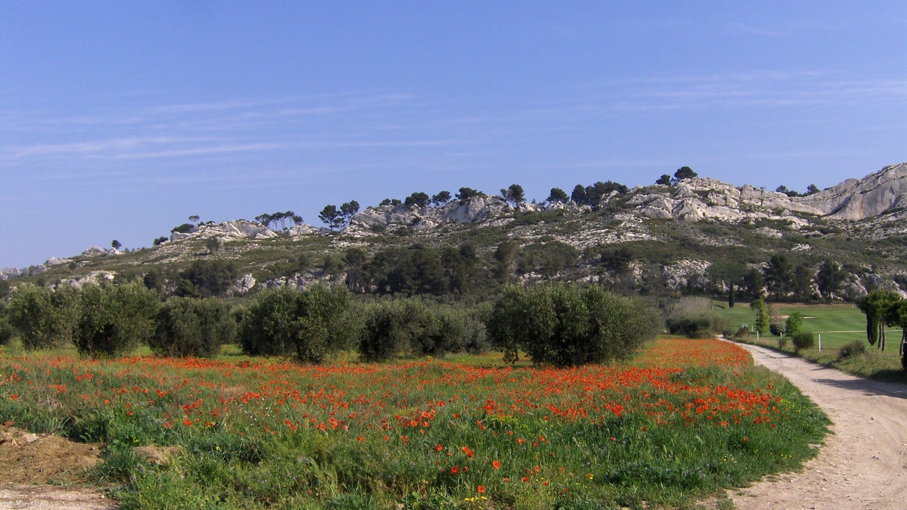 Photo of Others in Mouries