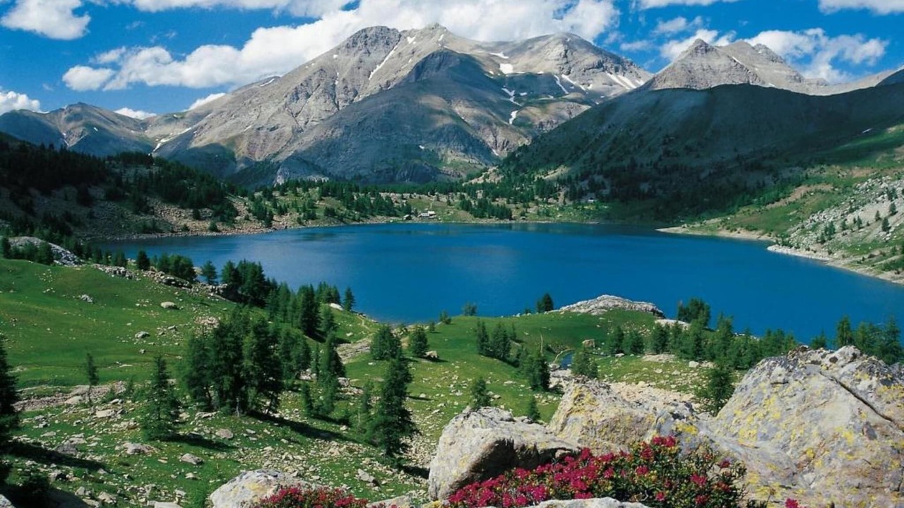 Photo of Others in Allos