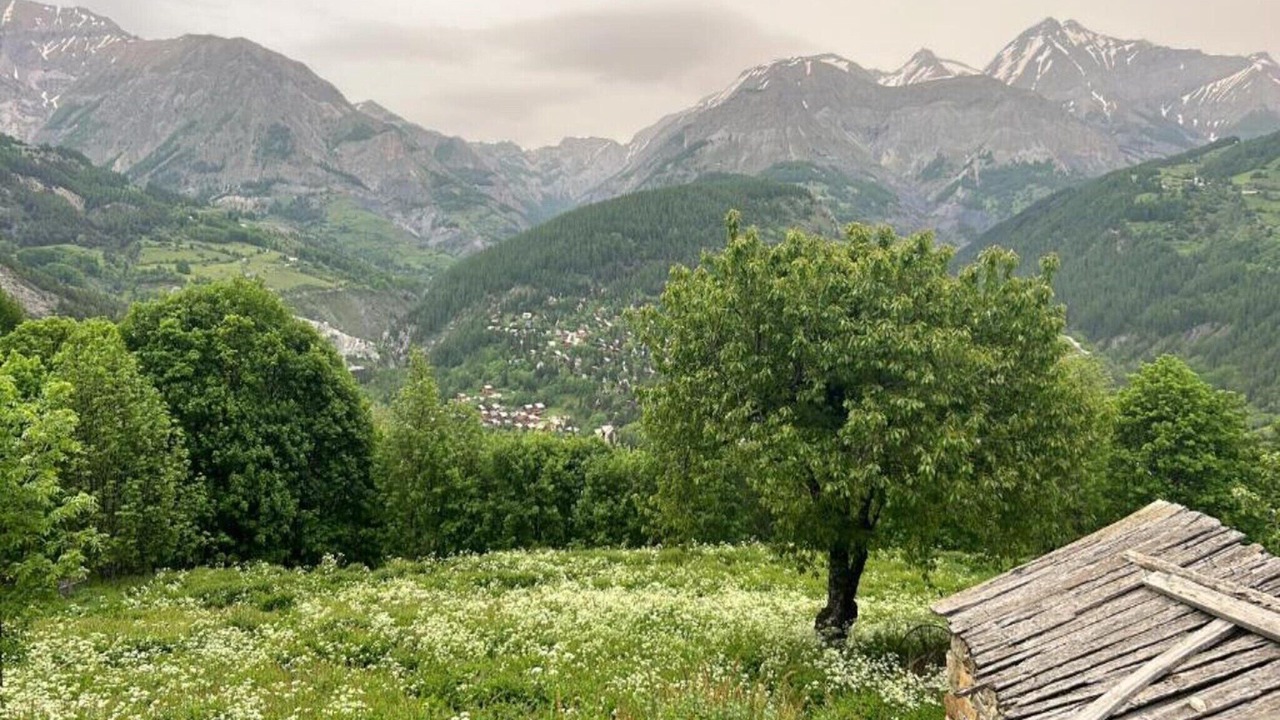 Photo of Others in Allos