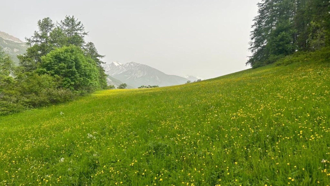 Photo of Others in Allos