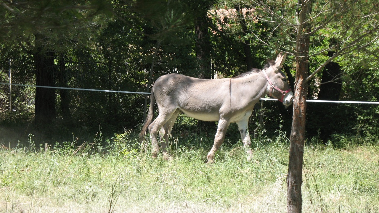 Photo of Outdoor in Aix-en-Provence