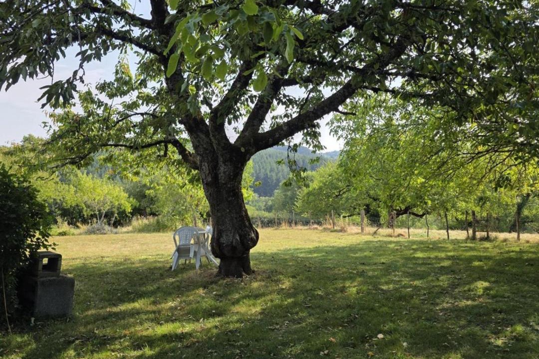Photo of Others in Ferrieres-sur-Sichon