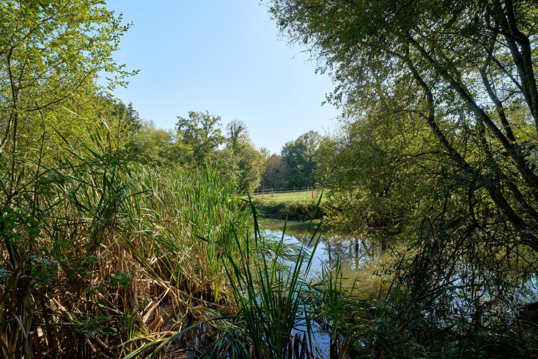 Photo of Others in Eyliac