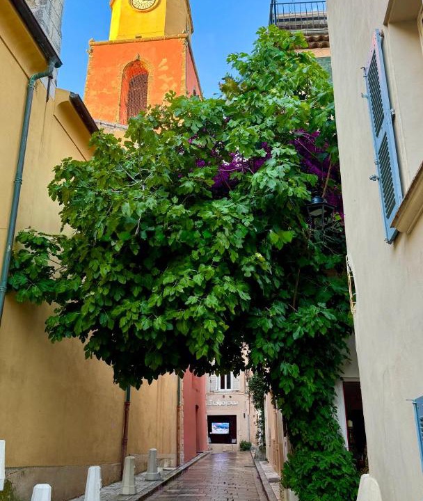 Photo of Others in Old Town