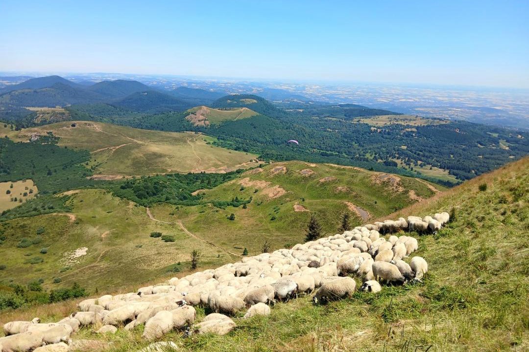 Photo of Others in Vollore-Montagne
