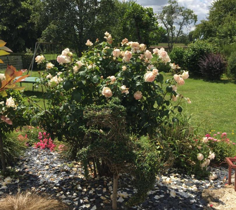 Photo of Outdoor in Saint-Gratien-Savigny
