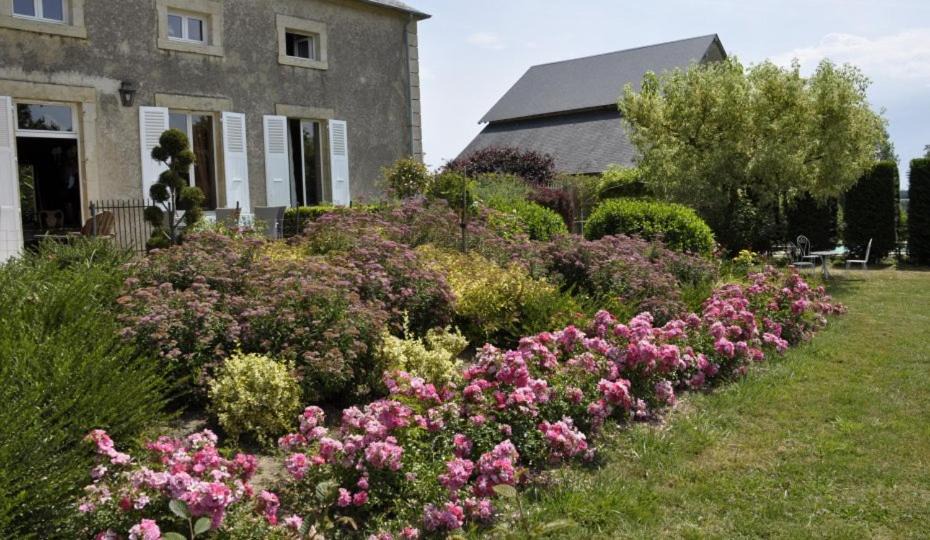 Photo of Others in Saint-Gratien-Savigny